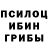 Галлюциногенные грибы Magic Shrooms Galeidan