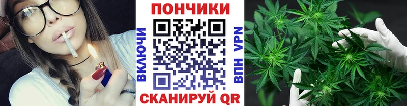 Бошки Шишки THC 21%  Купить закладки  Меленки 